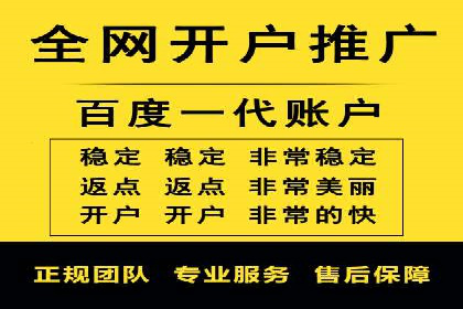 谷歌竞价广告与SEO结合的营销案例解析